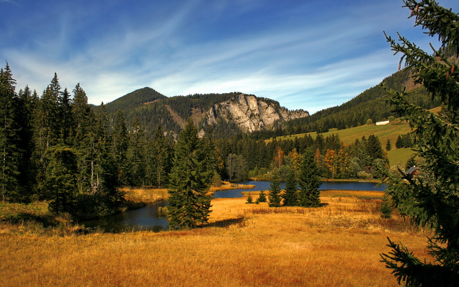 _鹈鹕队士气高扬,继续稳步前进_,鹈鹕队改名前是哪个队