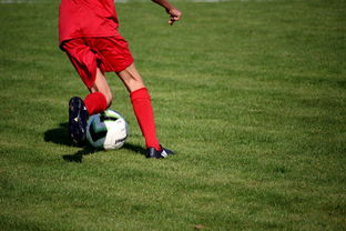 九游下载安装-中国足球职业俱乐部推动管理层岗位轮训制度，职业足球俱乐部训练计划